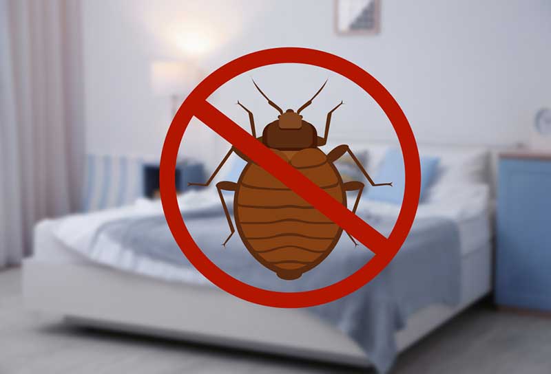 Stop bug sign and clean bed in room