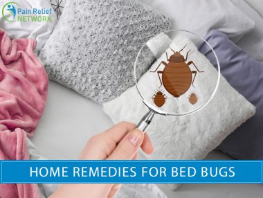 Home Remedies For Bed Bugs