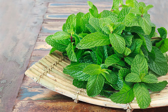 Mint Leaves