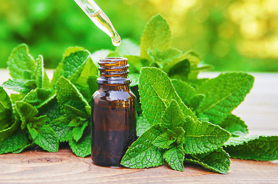 Peppermint Essential Oil